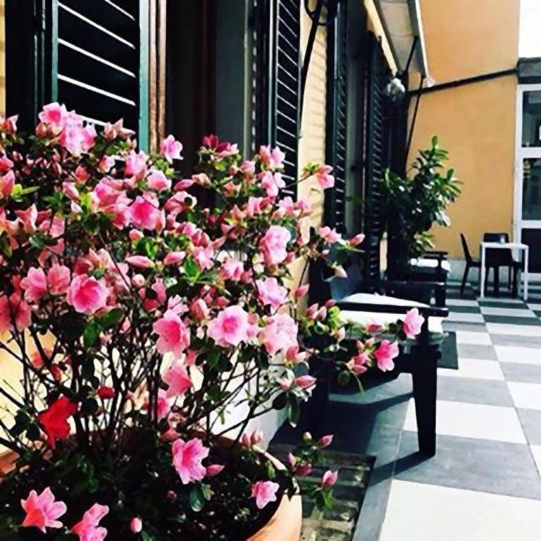 Hotel Butterfly Μοντεκατίνι Τέρμε Εξωτερικό φωτογραφία